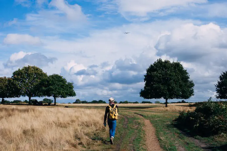 Why Walking is Better than Running